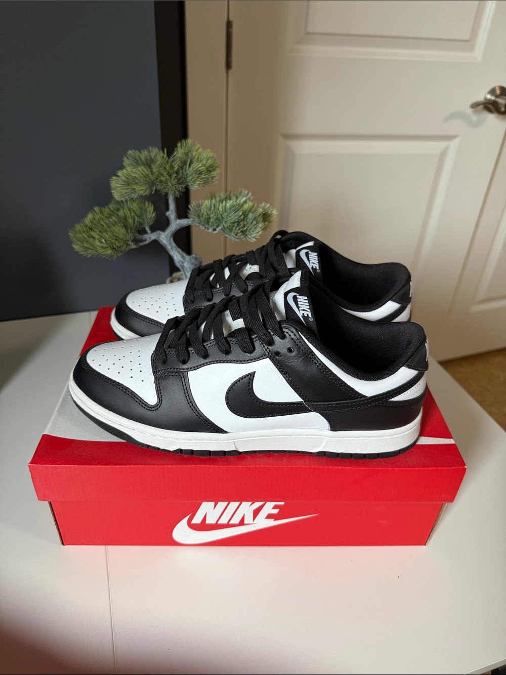 Nike Panda Low Men’s Sneakers